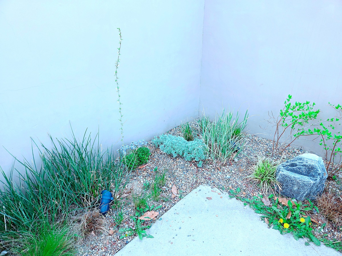 인천 검단 감성 브런치 카페 온안: 모던하고 따스한 분위기 맛집