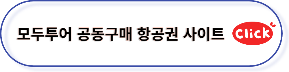 공동구매 항공권