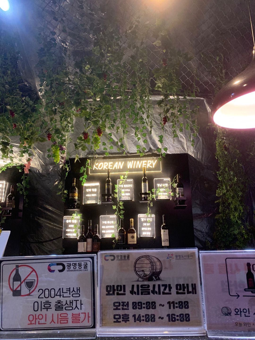 광명동굴 와인시음시간