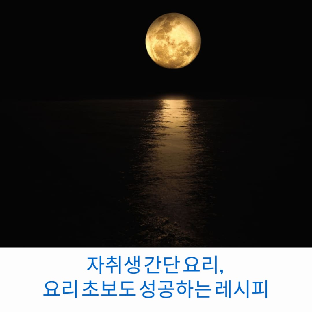 자취생-간단-요리,-요리-초보도-성공하는-레시피-썸네일