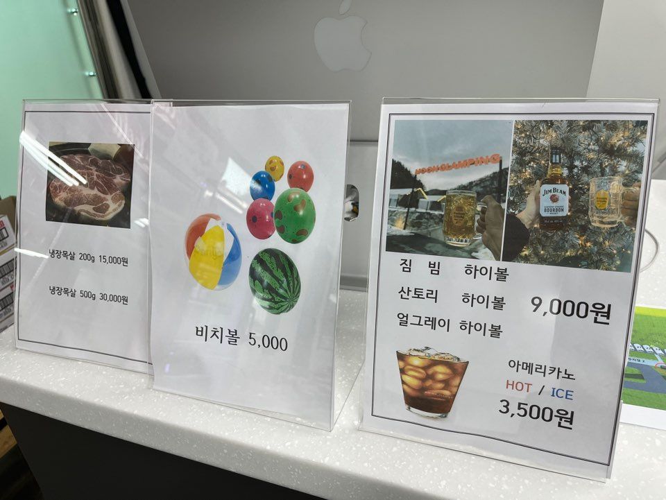 문글램핑비치볼