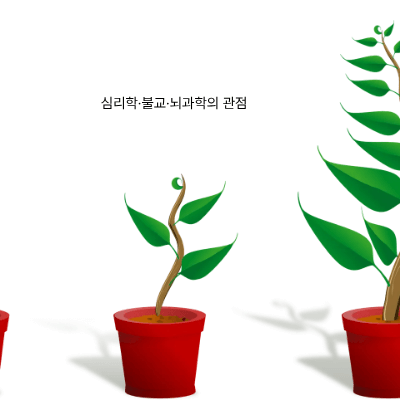 실패를 성장의 기회로 만드는 수용의 힘