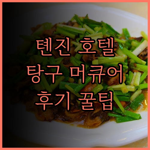 톈진 빈하이신구 탕구 Mercure