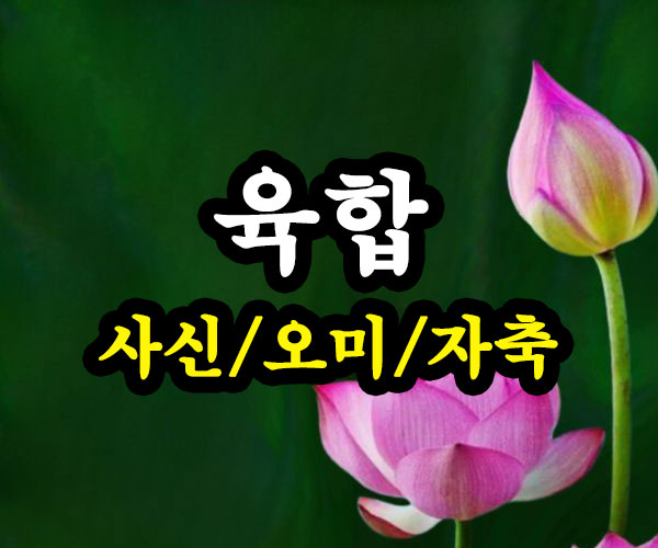 사신합 오미합 자축합 육합 썸네일