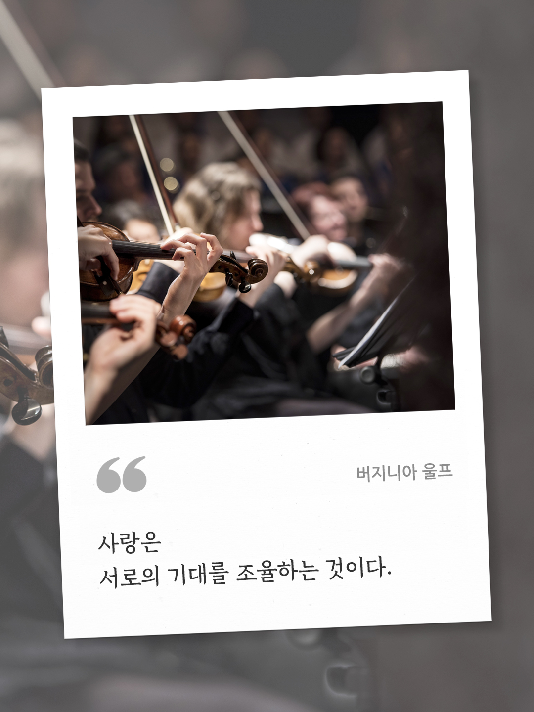 사랑은 서로의 기대를 조율하는 것이다. (버지니아 울프)