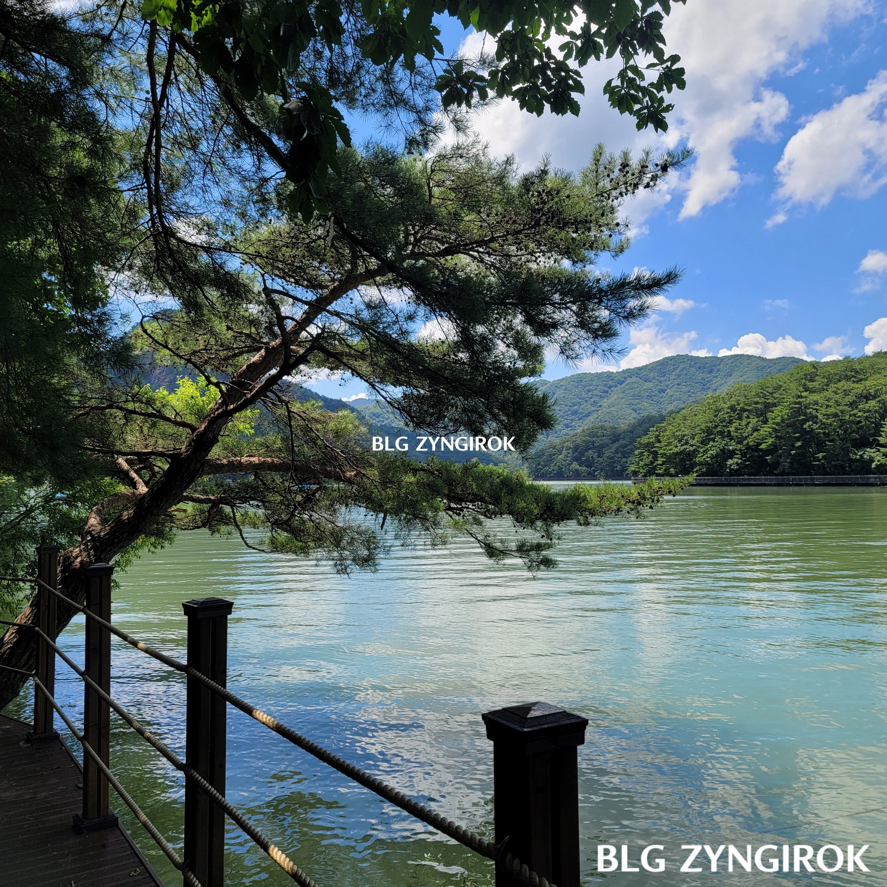 산정호수-수변코스의-큰-소나무가있다.