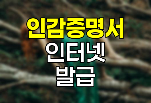 2024년 9월부터 일부 용도 인감증명서 인터넷 발급 가능