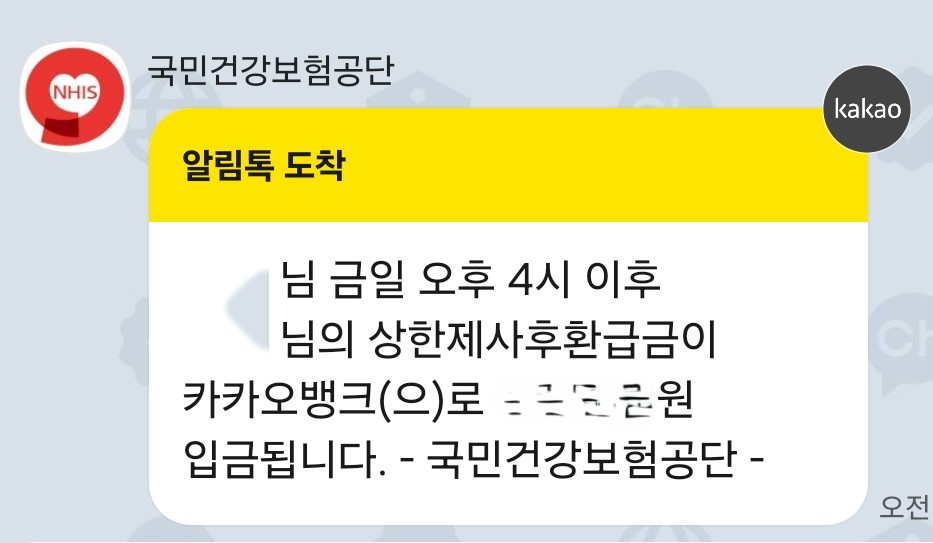 본인부담 상한액 초과금 입금