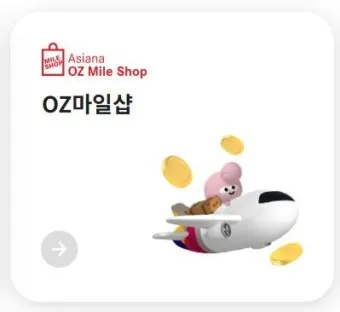 아시아나 마일리지 사용방법과 활용 팁_16