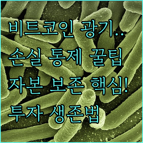 변동성 비트코인 시장 손실 통제 자본..