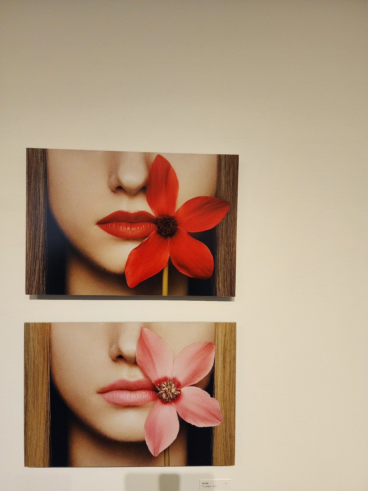 요시다 유니 작품