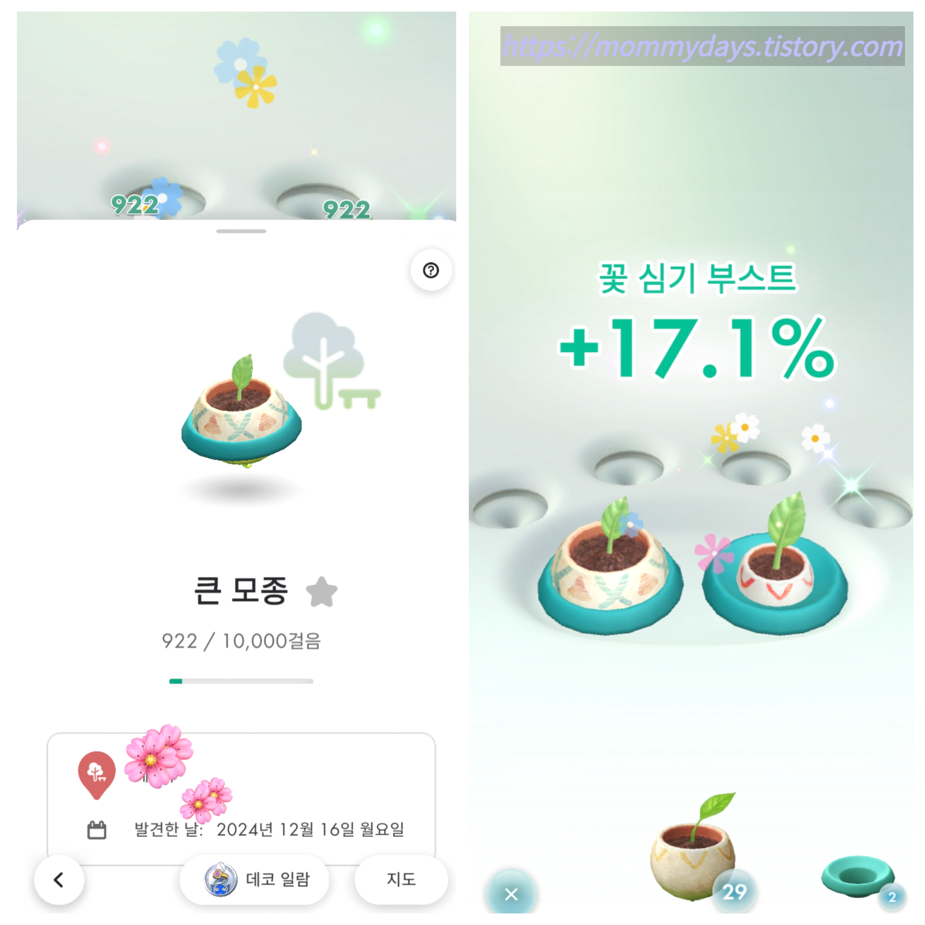 이 사진은 피크민블룸에서 모종을 심고 자라나는 과정을 설명한 사진입니다.