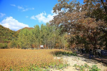 연천 가볼만한곳 베스트10 알아보기