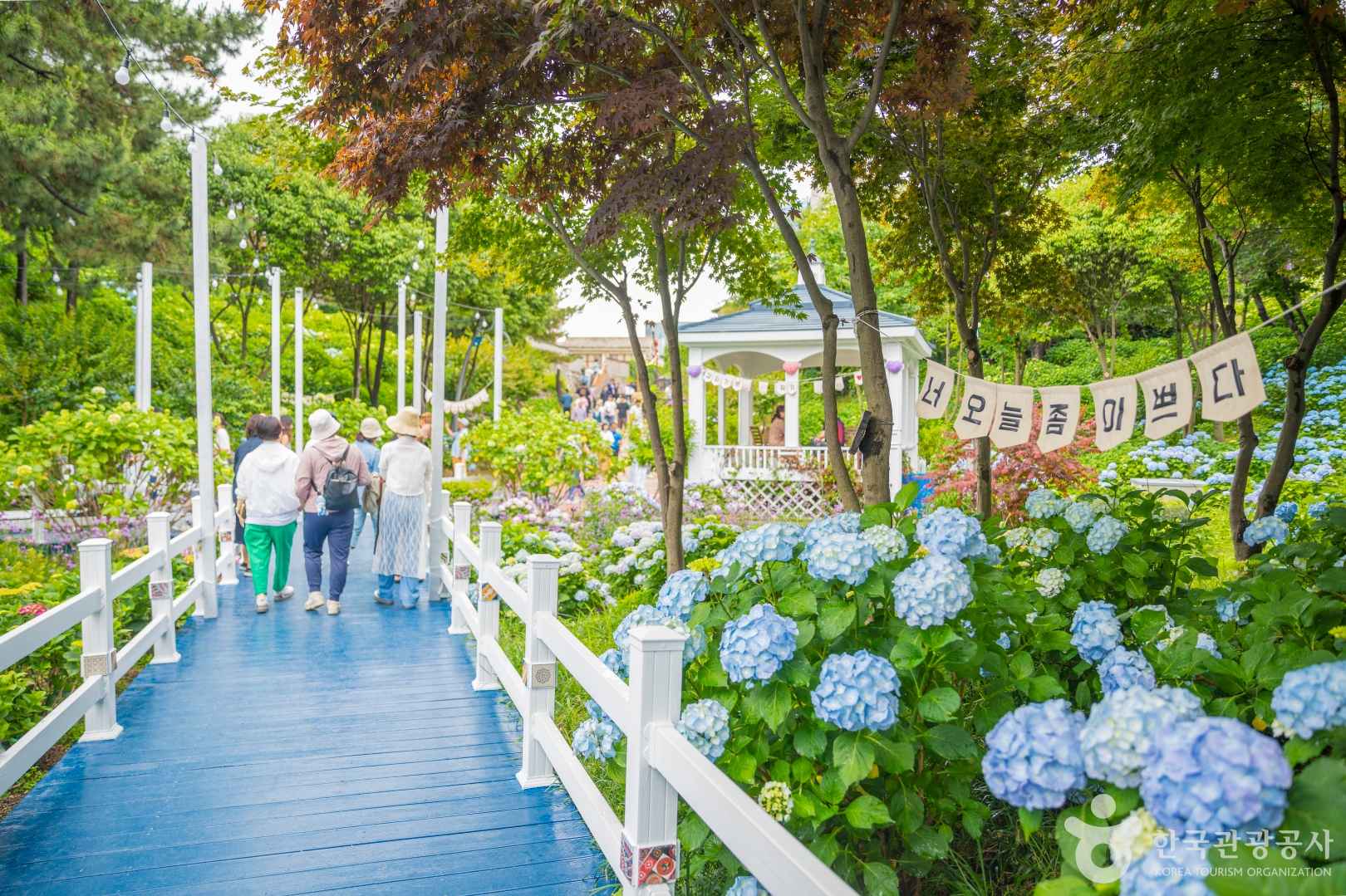 장생포 수국축제