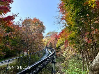 화담숲 예약하기 화담채 예약으로 절차정리_22
