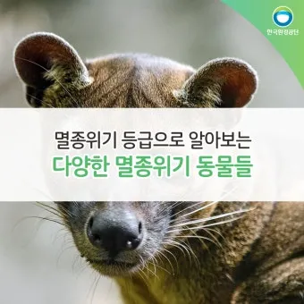 멸종 위기 동물 증가 원인과 환경 문제 분석_5