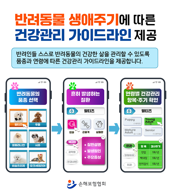 반려동물 생애주기 건강관리 가이드