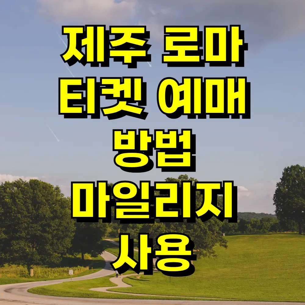 제주 로마 티켓 예매 방법 마일리지 사용