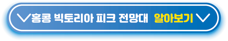 빅토리아 피트 전망대