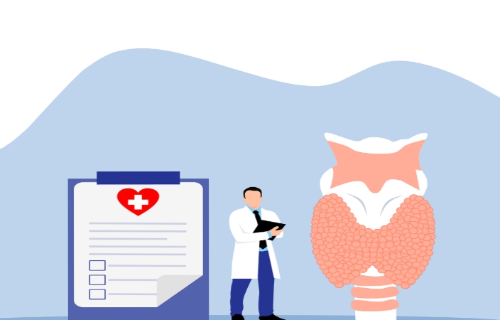 갑상선의 위치와 모양 이미지화