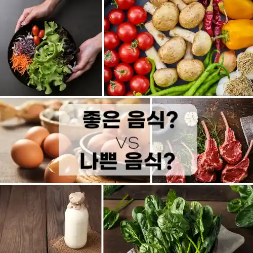 빈혈에 좋은 음식 vs 나쁜 음식! 피로 없애는 건강 식단