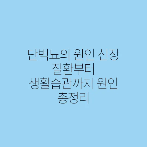단백뇨의 원인 신장 질환부터 생활습관까지 원인 총정리