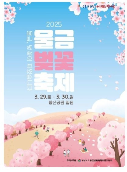 물금 벚꽃축제