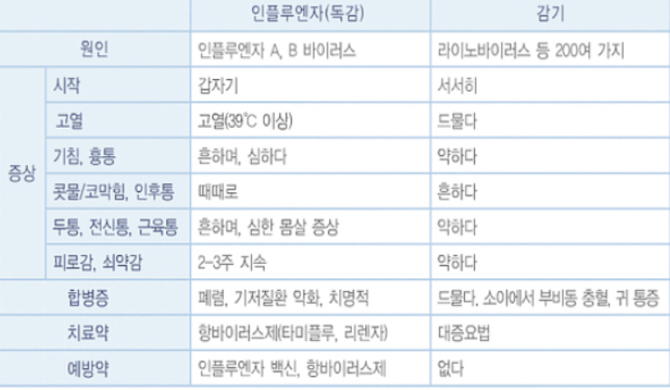 독감과 감기의 차이