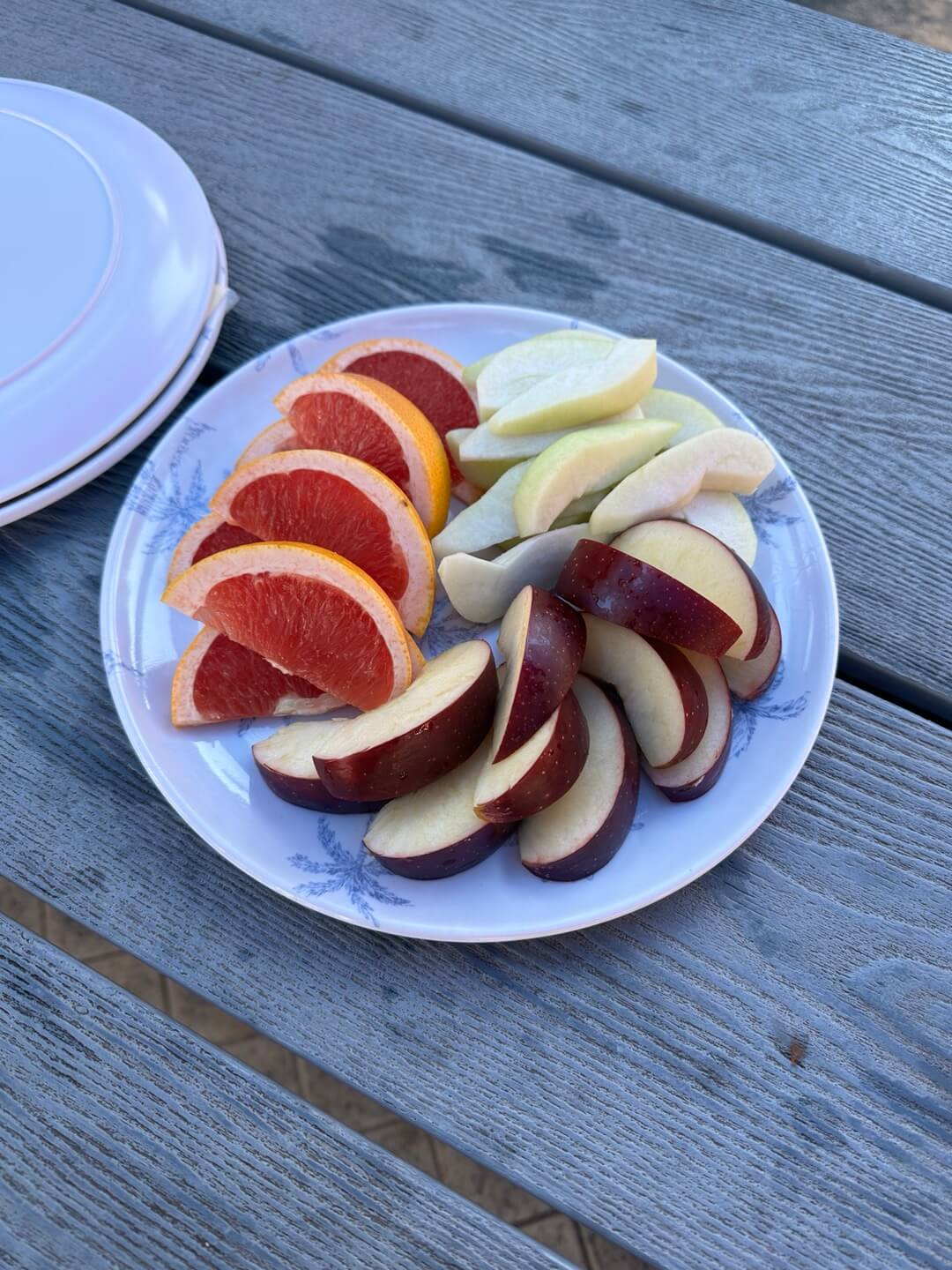 호주 퍼스 여행정보&amp;#44; 쿼카 로트네스트 섬&amp;#44; 칼바리 피나클스 투어