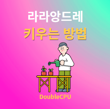 라라앙드레 키우기 물주기