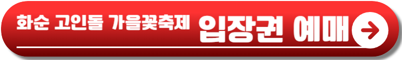 화순 고인돌 가을꽃축제