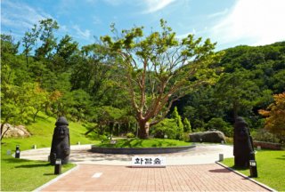 화담숲 사진