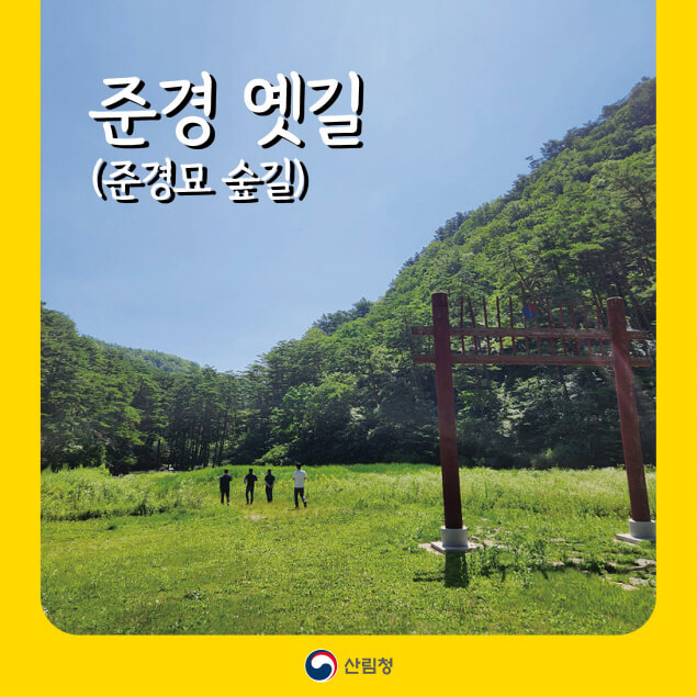조선 왕조의 길을 따라, 삼척 준경 옛길 힐링 여행