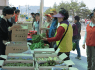 옥천참옻순축제