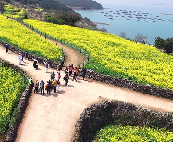 청산도