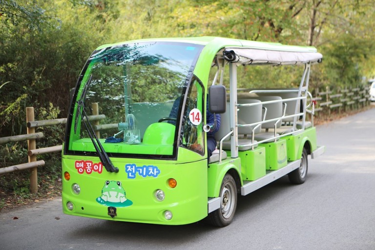 하늘공원-억새축제-서울정원박람회