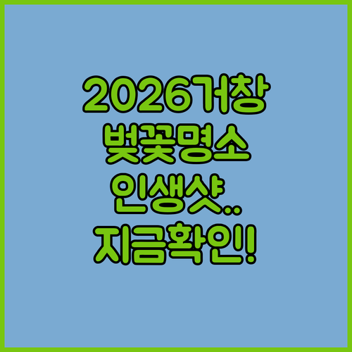 2026년 거창 벚꽃 개화 일정과 장..