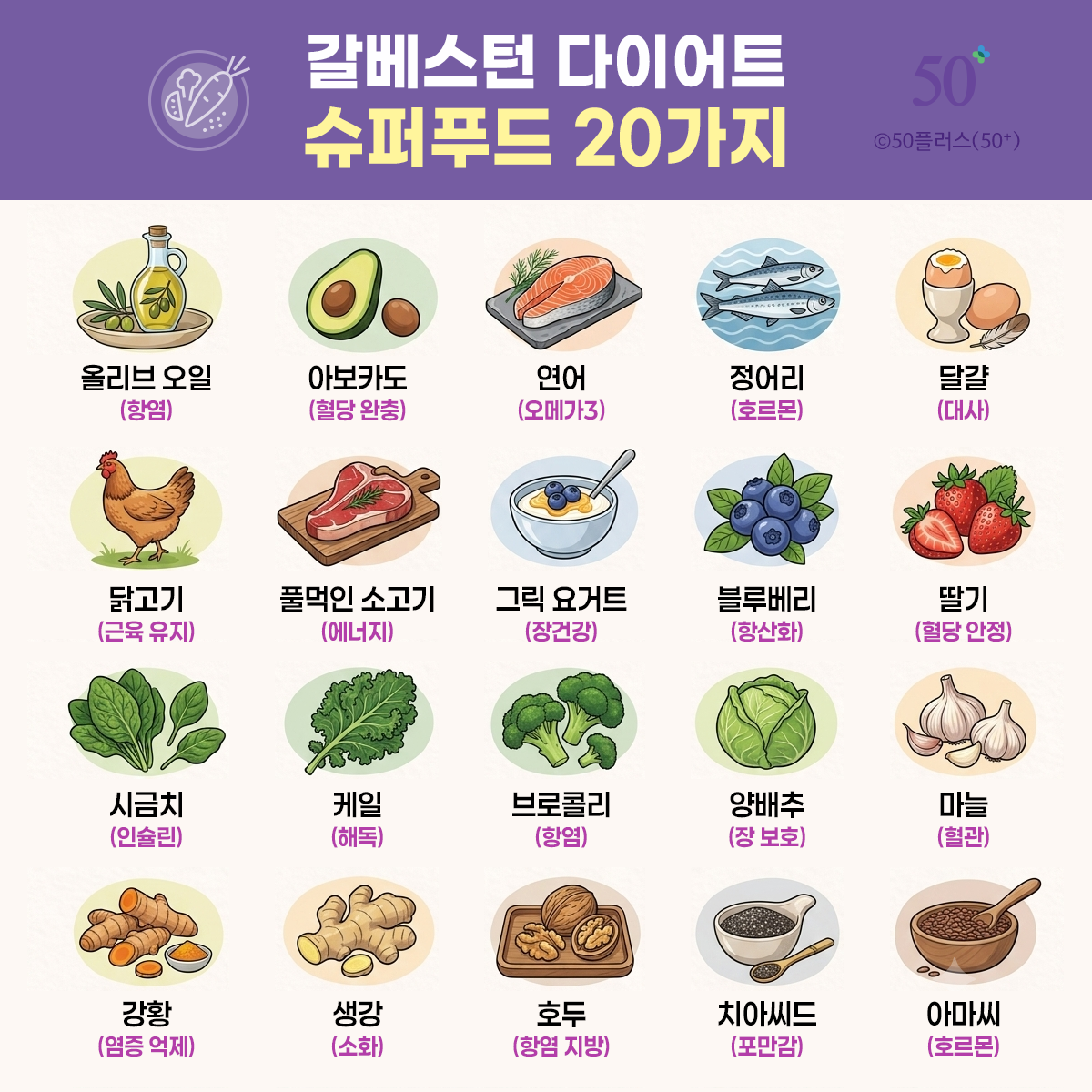 갈베스턴 다이어트 슈퍼푸드 20가지