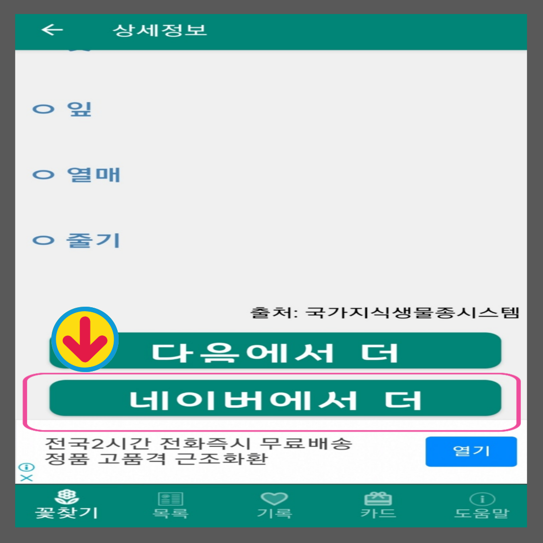 꽃이름 찾기 앱