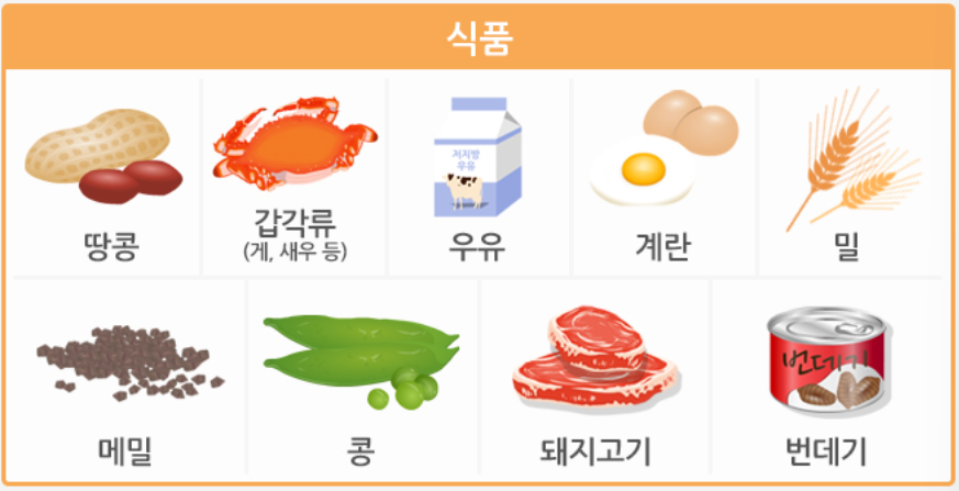 아나필락시스 쇼크