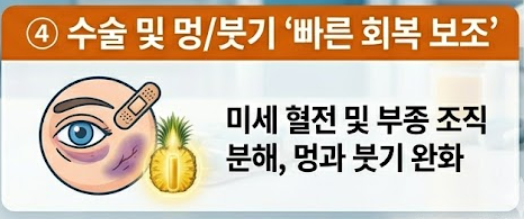 브로멜라인 효능