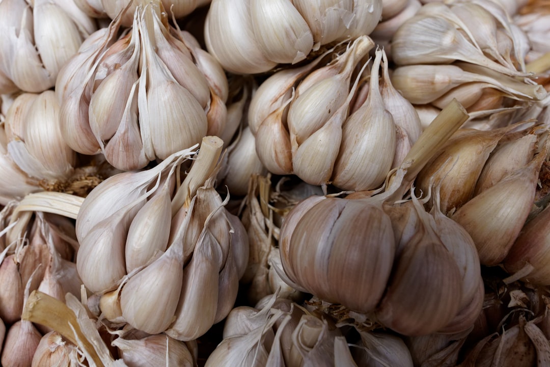 Black garlic