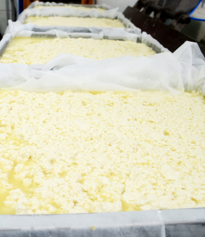 충북 진천 믿고 떠나는 스타 조춘 고향 생거 진천전통시장 두부 도토리묵 손두부 순두부 맛집 추천