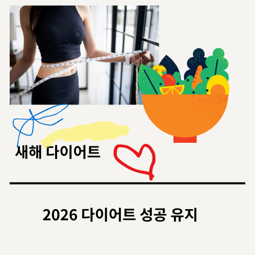 2026년 다이어트 계획 세우기- 실패 없는 체중 감량 로드맵