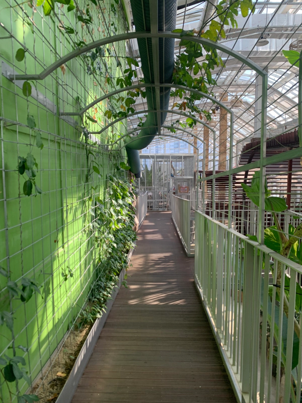 오산버드파크 할인 입장료 및 주차장 가족 여행 후기