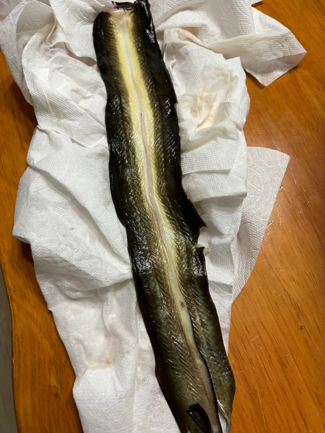 자연산 민물장어 가격이 너무 좋아요~ 자연산 장어는 자주 접하지 못하는 거 같은데 큰 이유가 아무래도 비싼 가격이 아닐까 행각해요~ 그런데 이게 웬걸 가격이 너무 좋았고 맛이 얼마나 쫀득거리는지 안 먹어본 사람은 절대 모르는 그 식감이 있어요. 그럼 민물장어와 바다 장어 차이와 왜 민물장어가 비싼지도 궁금하겠지요? 내 돈 내산후기!