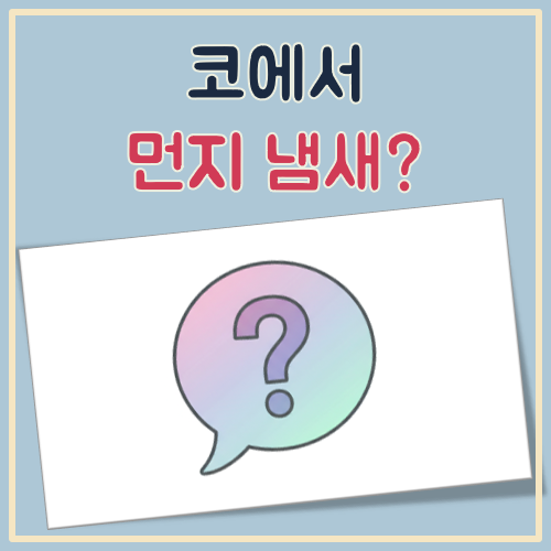 코에서 먼지냄새 대표 이미지