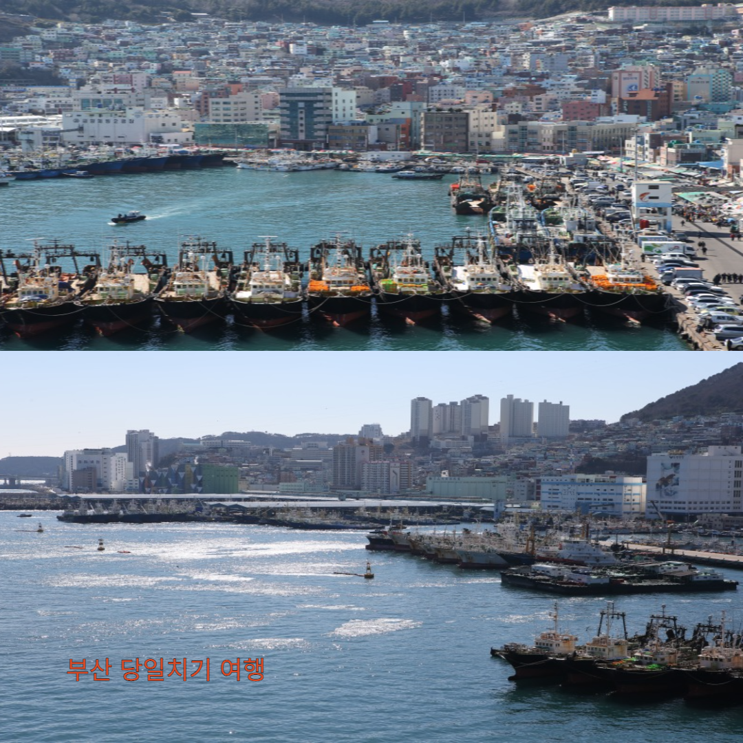 자갈치 시장