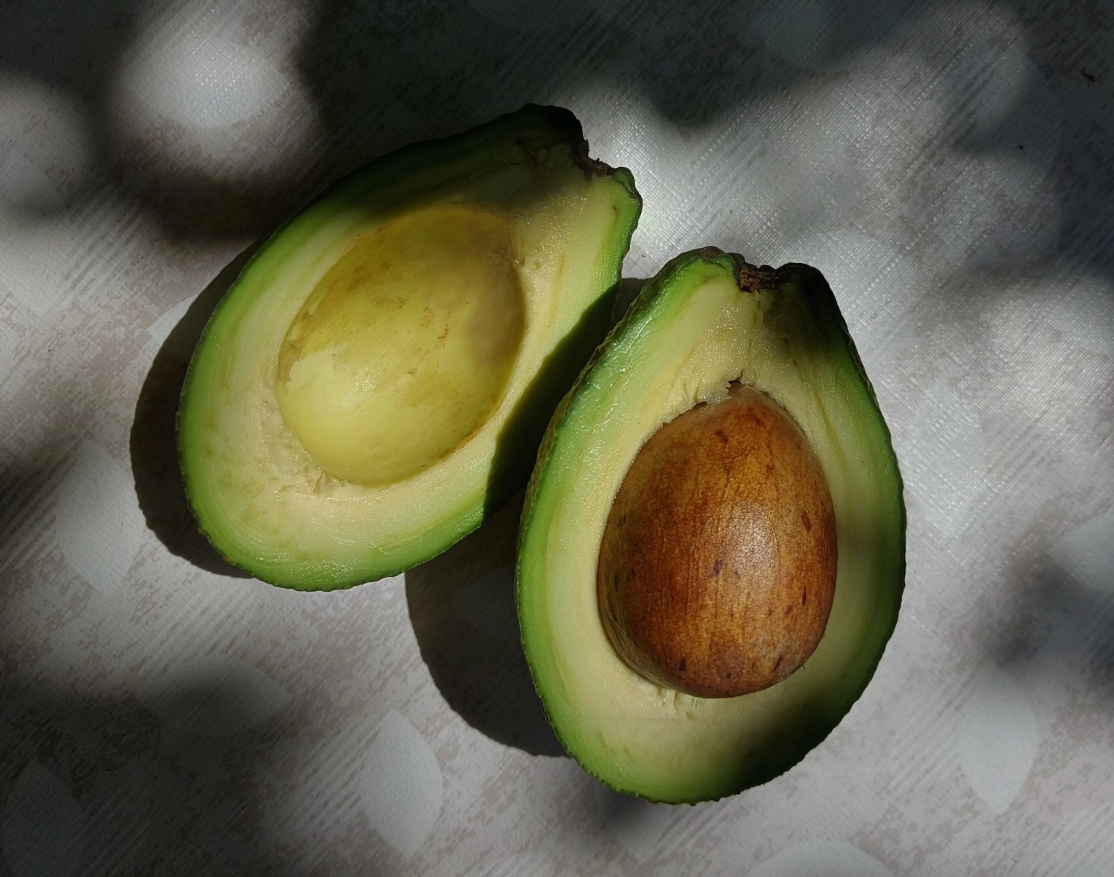 아보카도 전자레인지