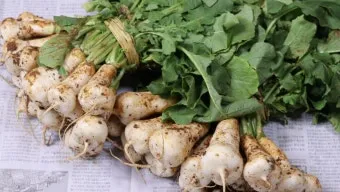 알타리김치 맛있게 담는법에 대한 김치비법_11